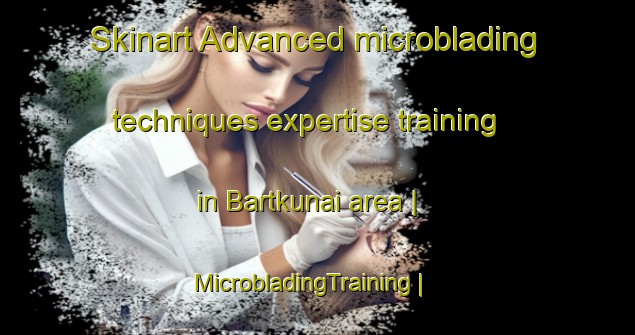 Skinart Advanced microblading techniques expertise training in Bartkunai area | MicrobladingTraining | MicrobladingClasses | SkinartTraining-Lithuania
